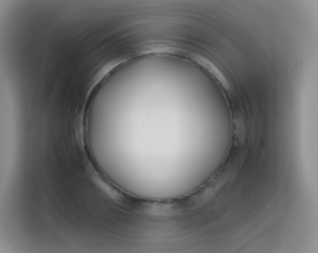 X0000113750890200910071104