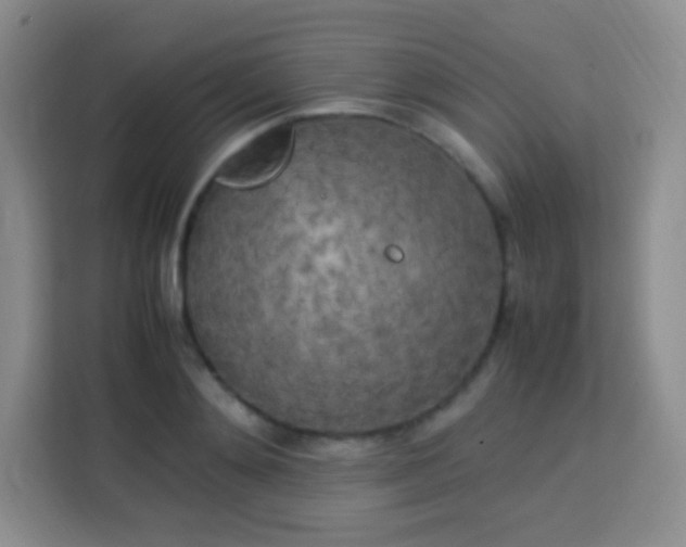 X0000113750892200910071104