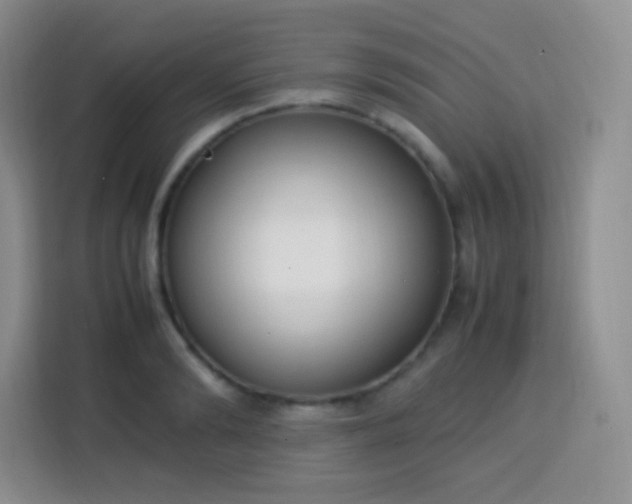 X0000113750894200910071104