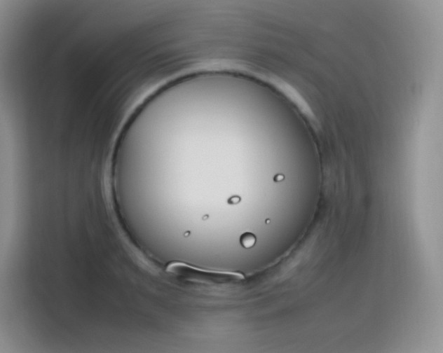 X0000113750895200910071104