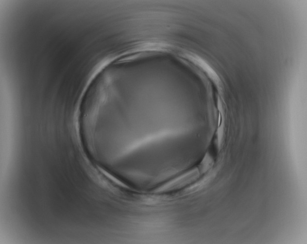 X0000113750899200910071104