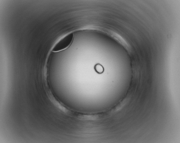 X0000113750900200910071104