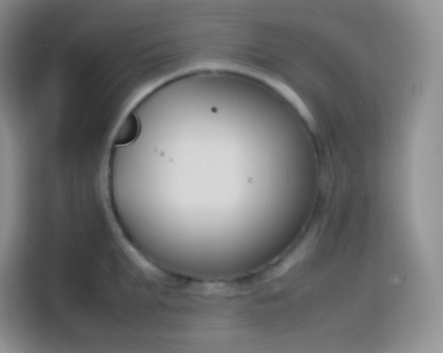 X0000113750903200910071103