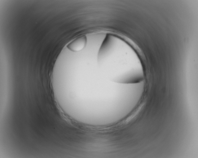 X0000113750905200910071103