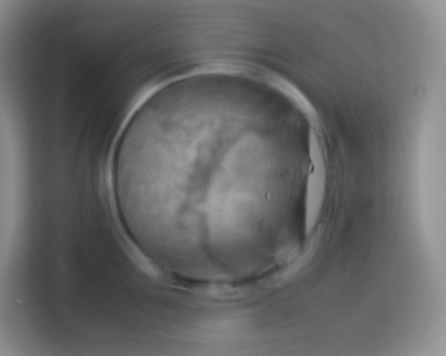 X0000113750907200910071103