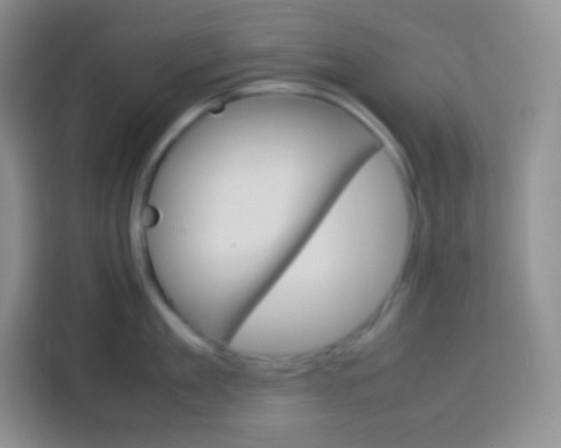 X0000113750909200910071103