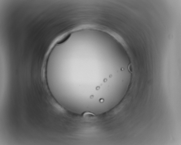 X0000113750912200910071103