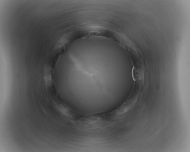 X0000113750916200910071103