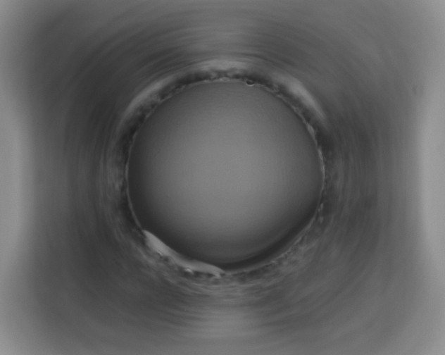 X0000113750920200910071103