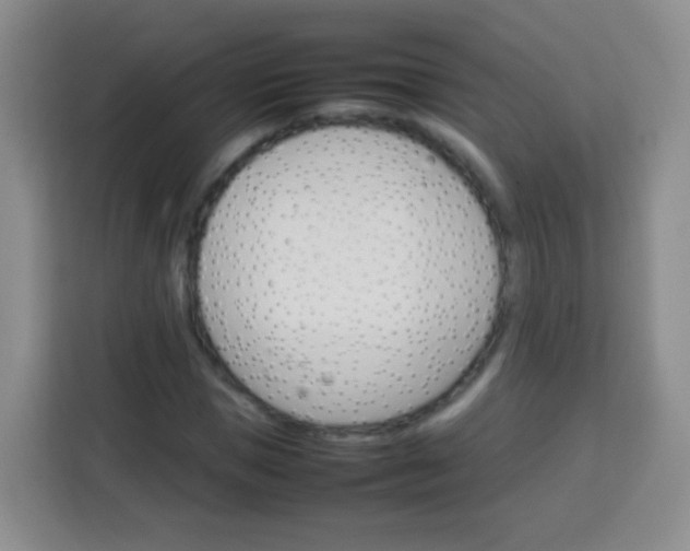 X0000113750921200910071103