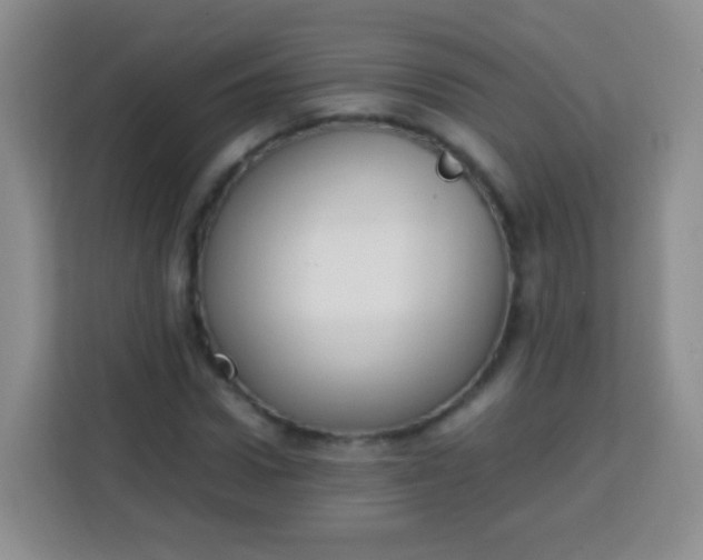 X0000113750922200910071103