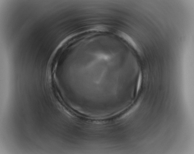 X0000113750923200910071103