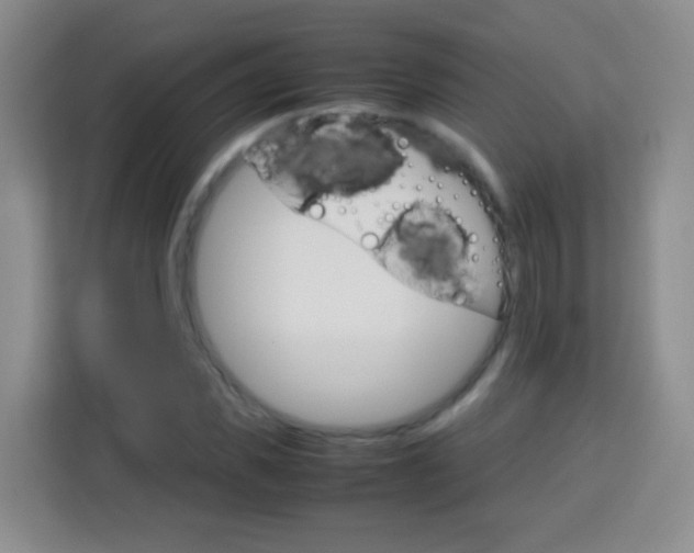 X0000113750925200910071103