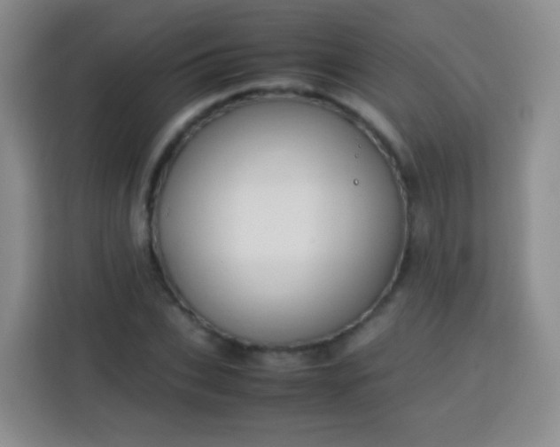 X0000113750927200910071103