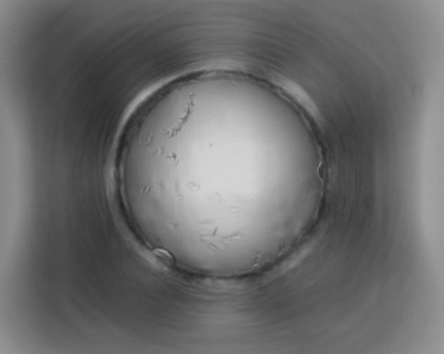 X0000113750928200910071103