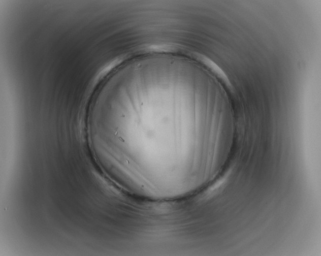 X0000113750930200910071103