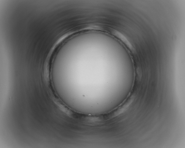 X0000113750931200910071103