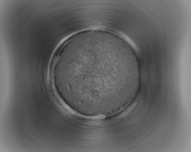 X0000113750932200910071103