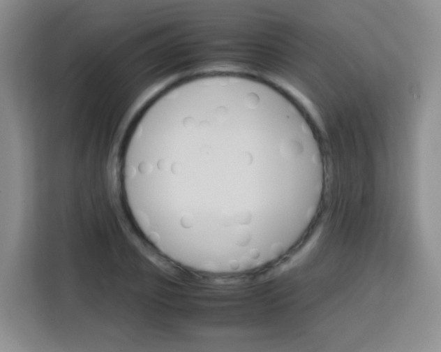 X0000113750933200910071103