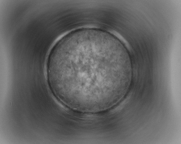 X0000113750935200910071103