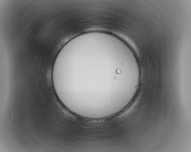 X0000113750937200910071103