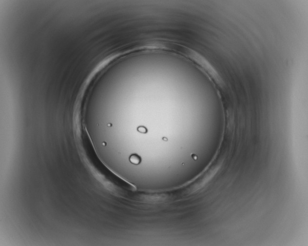 X0000113750939200910071103