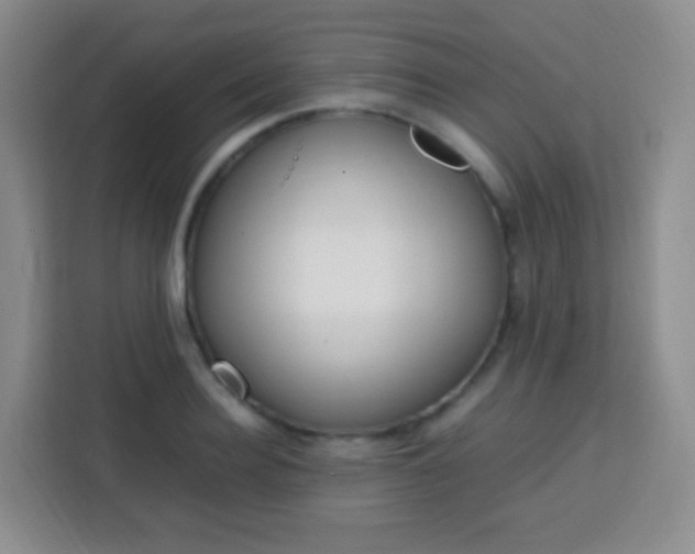 X0000113750940200910071103