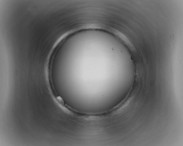 X0000113750942200910071103