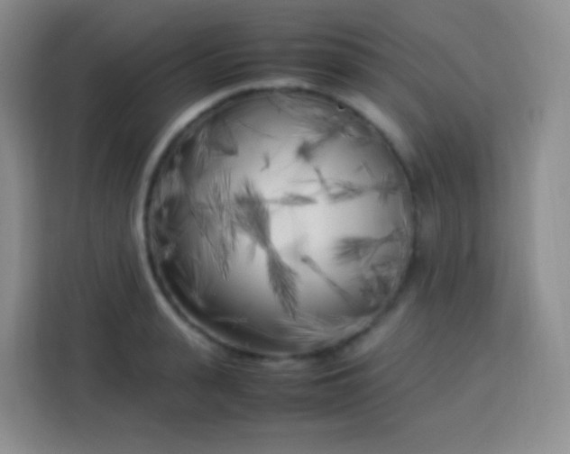 X0000113750943200910071103