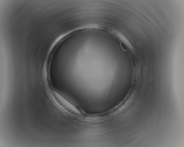 X0000113750944200910071103