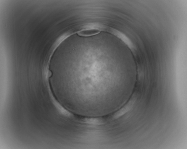 X0000113750946200910071103