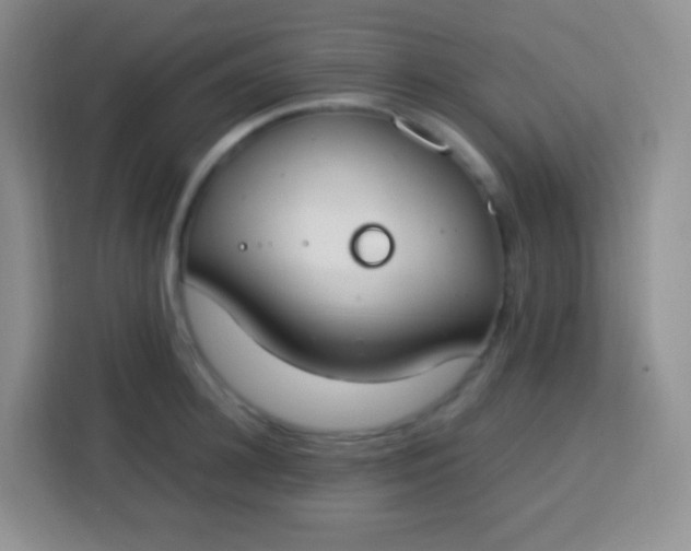 X0000113750948200910071103