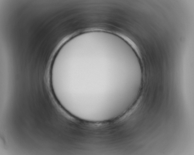 X0000113750949200910071103