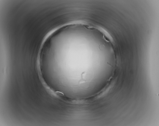 X0000113750952200910071103