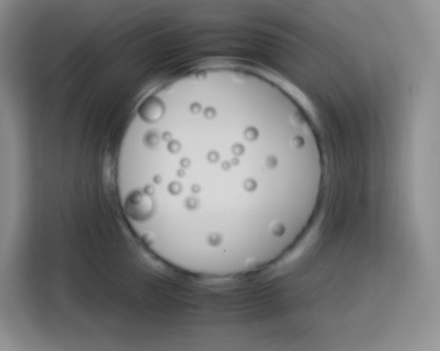 X0000113750953200910071103