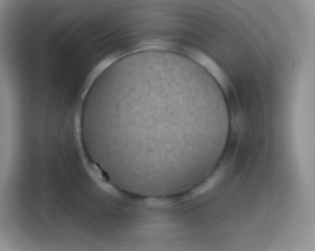 X0000113750954200910071103