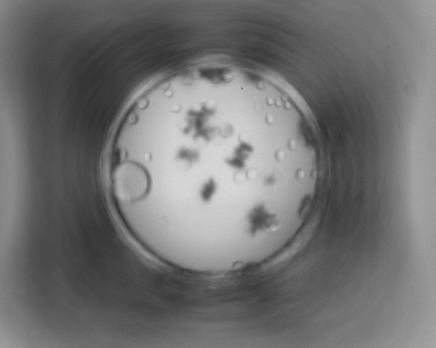 X0000113750957200910071103