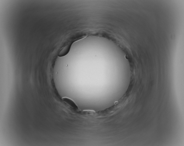 X0000113750961200910071103