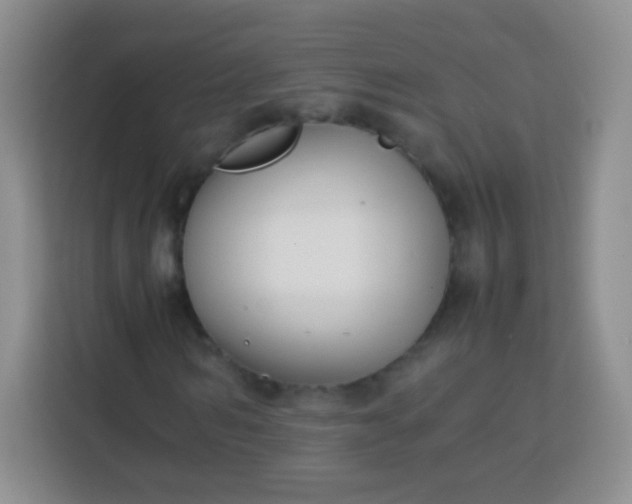 X0000113750962200910071103