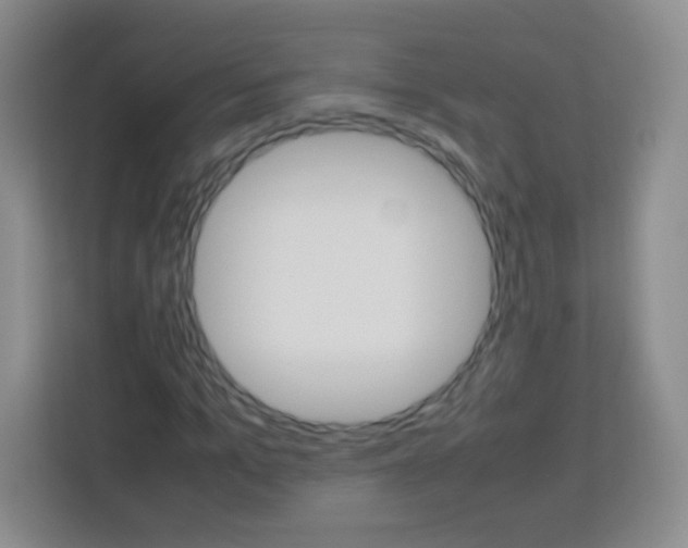 X0000113750965200910071103