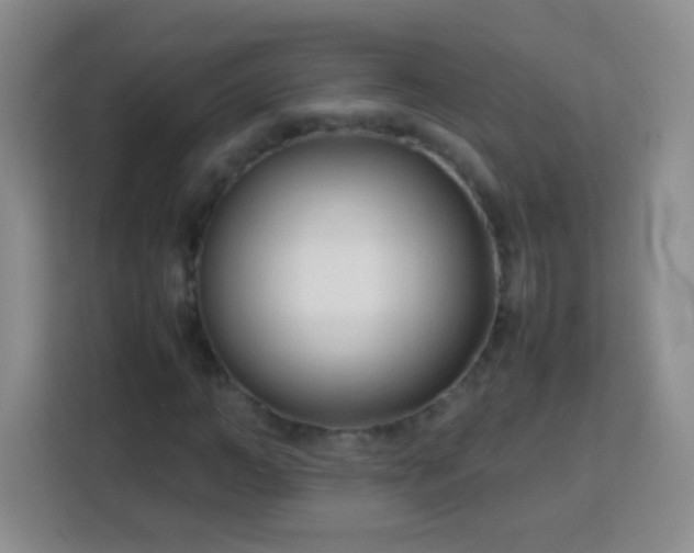 X0000113750966200910071103