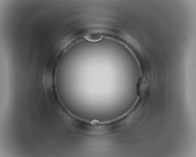 X0000113750969200910071103