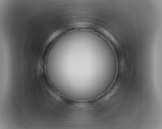 X0000113750970200910071103