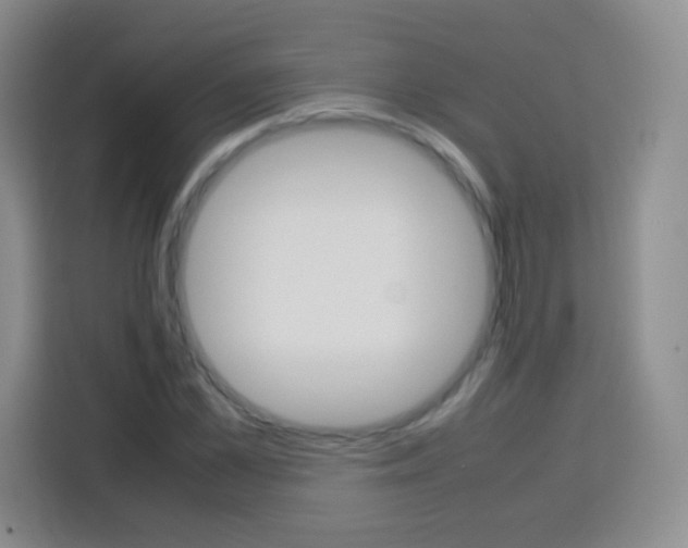 X0000113750973200910071103