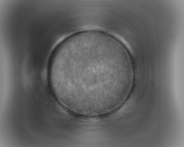 X0000113750975200910071103