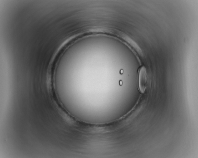 X0000113750976200910071103