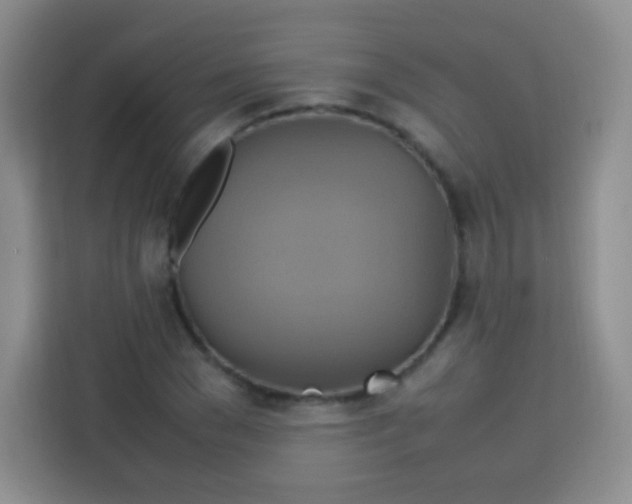 X0000113750977200910071103