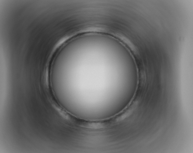 X0000113750982200910071102