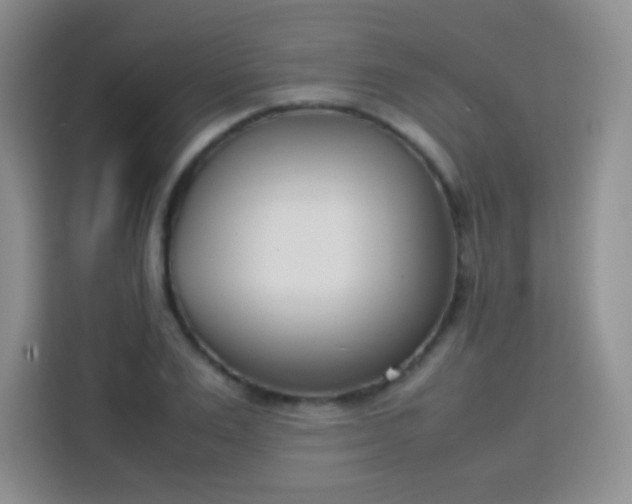 X0000113750983200910071102