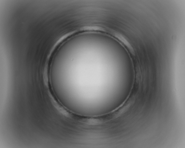 X0000113750984200910071102